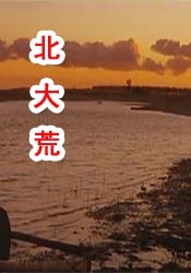 这个假期，不妨带上家人一起走进影院，感受《浪浪人生》中的欢笑与温暖，收获继续前行的勇气与信念。